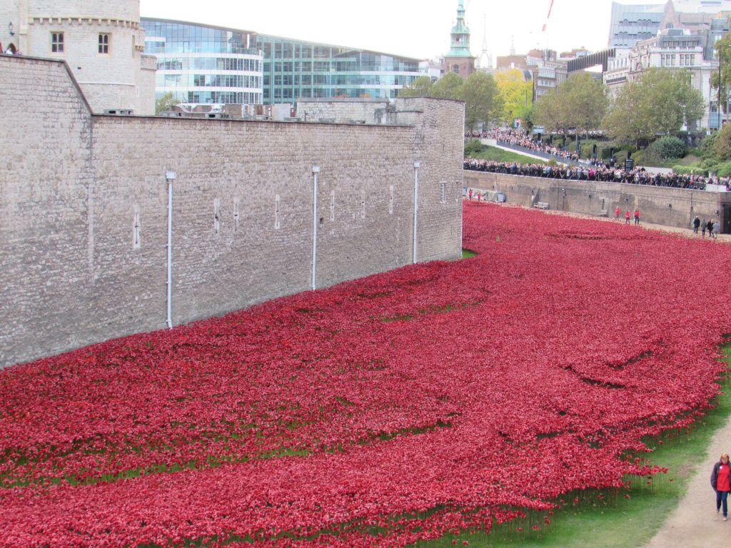 Poppies @ The Tower revisited Ce470030bc1968f12f3e78e8bc069129_zpse23136e6