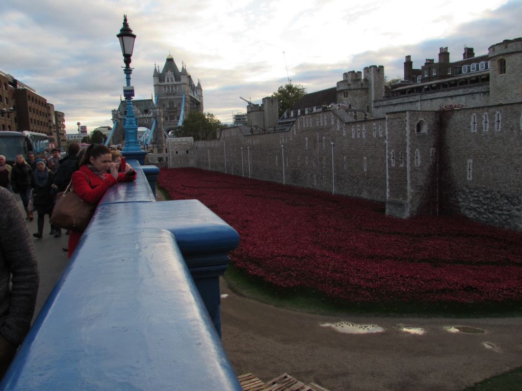 Poppies @ The Tower revisited De9cf11bb779d4690dbeeec7cdaea85a_zpsbbf04fab