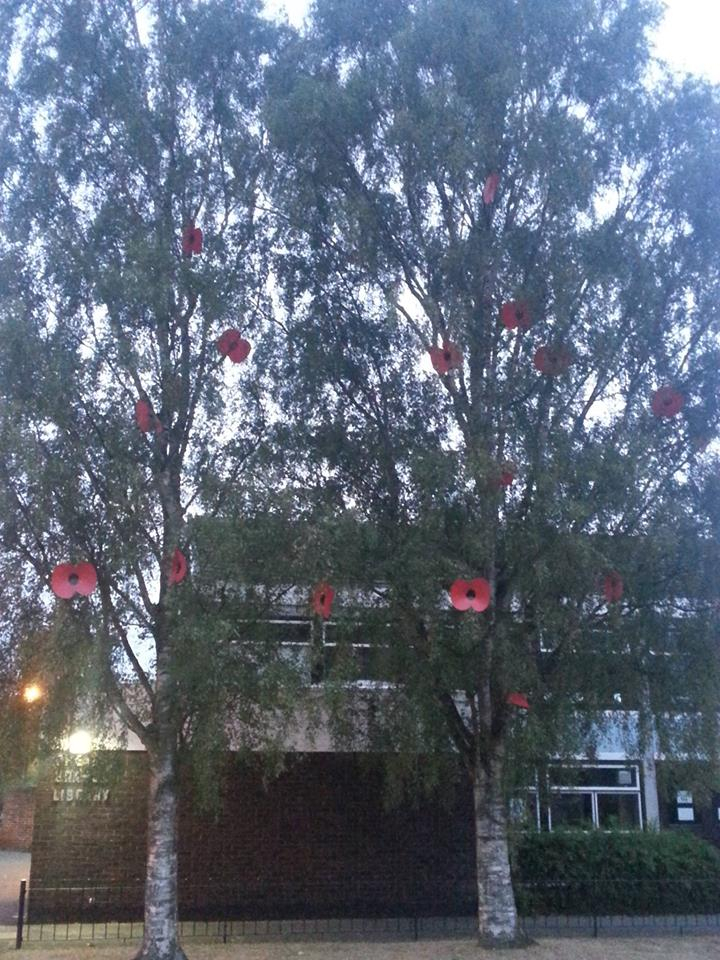 Poppies D3fca468a5c797a8f024c622322e69e5_zps33f514f4