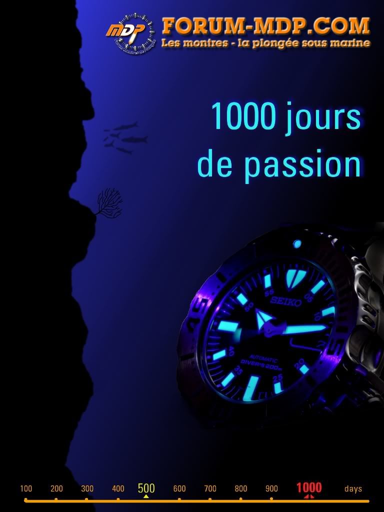 Concours photo: 1000... pour les 1000 jours de MDP! - Page 2 1000days