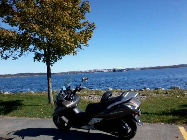 New from Dartmouth Nova Scotia Canada. DREAAcousticBargescooter_zps3daea23a