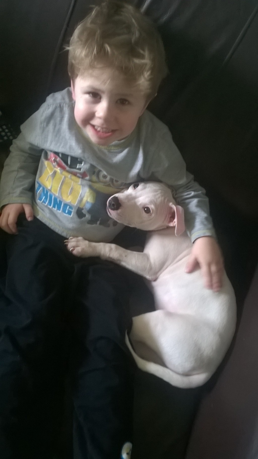 Wanted - Staffies and your family / kids - Page 3 WP_20150304_14_28_53_Pro_zpsbfc6wpp0