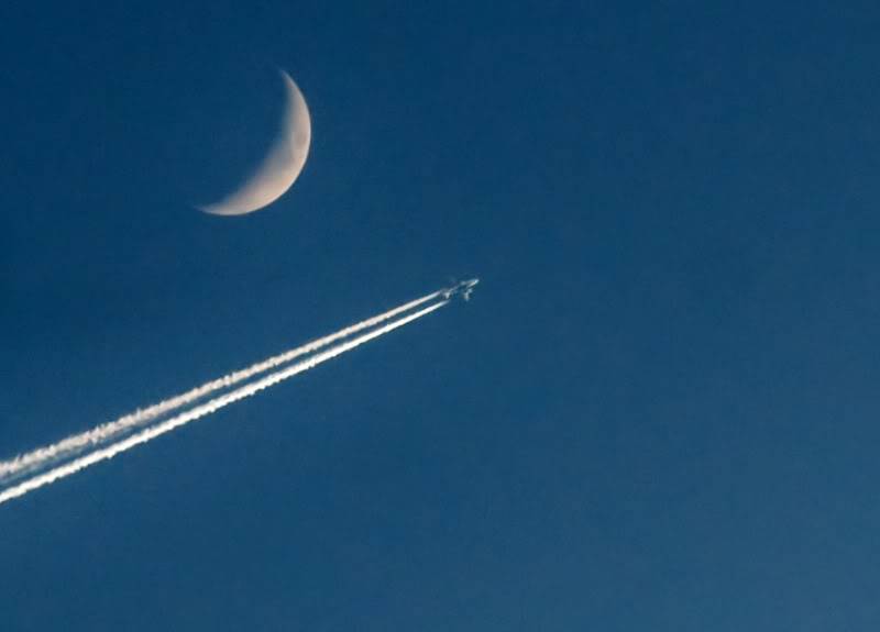 Aeroportul Bucuresti (Henri Coanda/Otopeni) - Ianuarie 2011 OTP061p