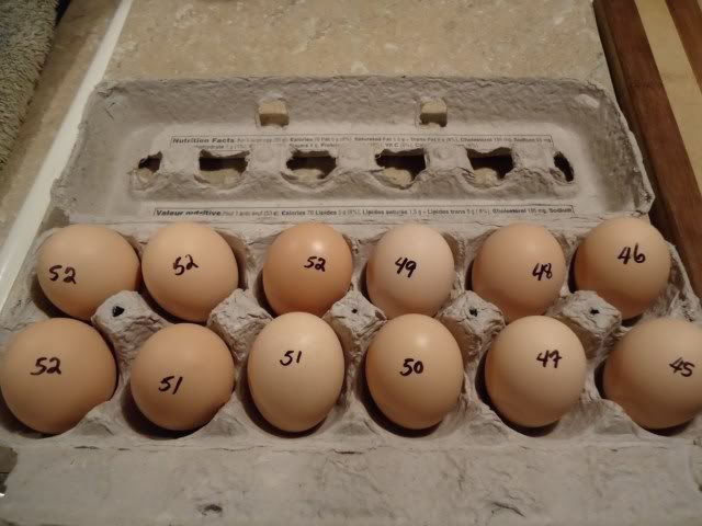 When can pullet eggs be hatched? - Page 2 Bufforpingtoncochinheneggweights