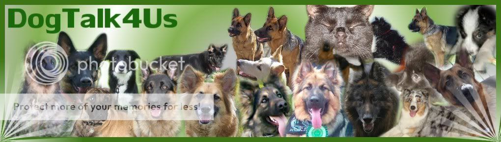 Forum Banner Competition - Page 2 Dogtalk4us