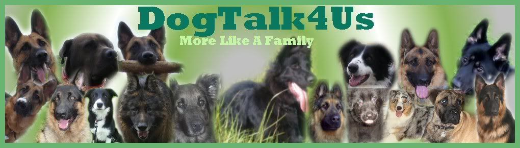 Voting for Dogtalk4us Banner Dogtalk4usjpg2