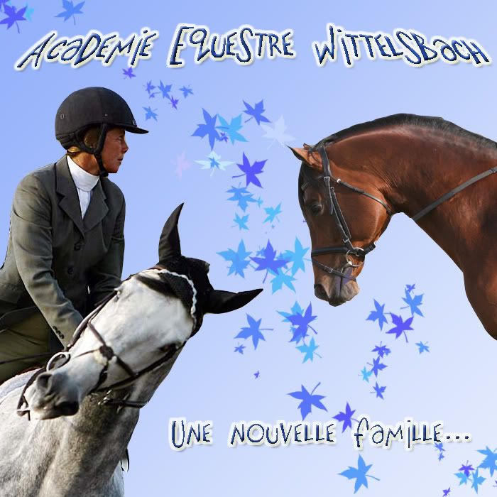 Académie Equestre Wittelsbach Plup