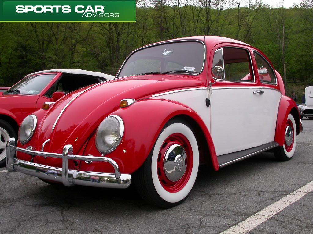 VW 1303S, 1975 mod. Volkswagen-beetle-bug-vw-bug-bear-mountain