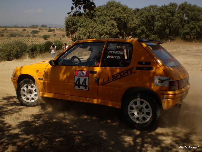 Rallyes Madrileños 2010 - Página 4 P6260265copia