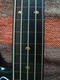 N. Zaganin BLB 5 Cordas Fretless - Video-review Th_DSC05397