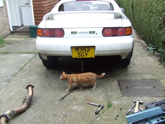 Mr2 + 3 weeks ownership then piston melts thread! DSCF7800