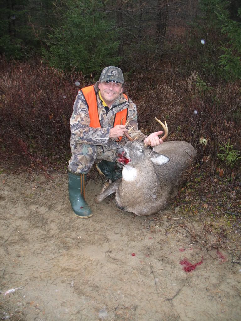 Album de Chasse au chevreuil 2008 Buck2008-1