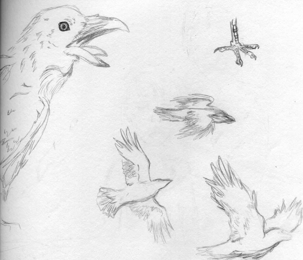 Dessins d'un poisson rouge O.o Crows