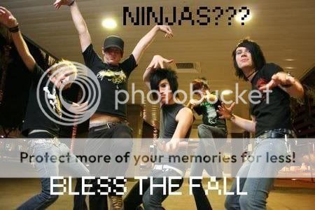 Blessthefall  <3 Bless_the_fall--large-prf-115984-1