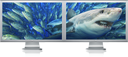 Official PNG Thread [Part 2] Expand_displayshark20060807