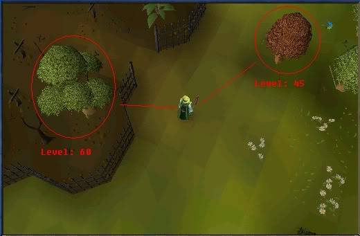 Woodcutting Guide Treeguild2