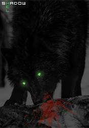 Wolves For Topics. ShadowWolf