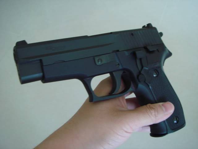 Dummy SIG P226 DSC00004