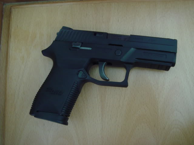 Finally...! Steel-Slide Dummy SIG P250 DCc Modelgun! DSC00006