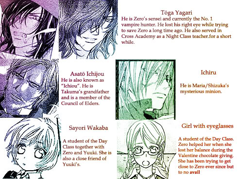 Vampire Knight (Story of Blood and Tragic Love) Others