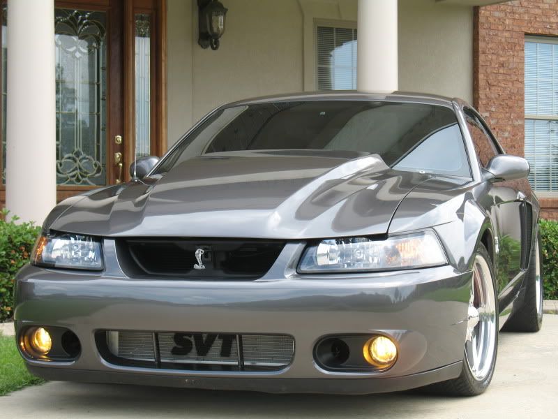 Mach 1 Hood 97-03-08-BigDawgphotos038-1