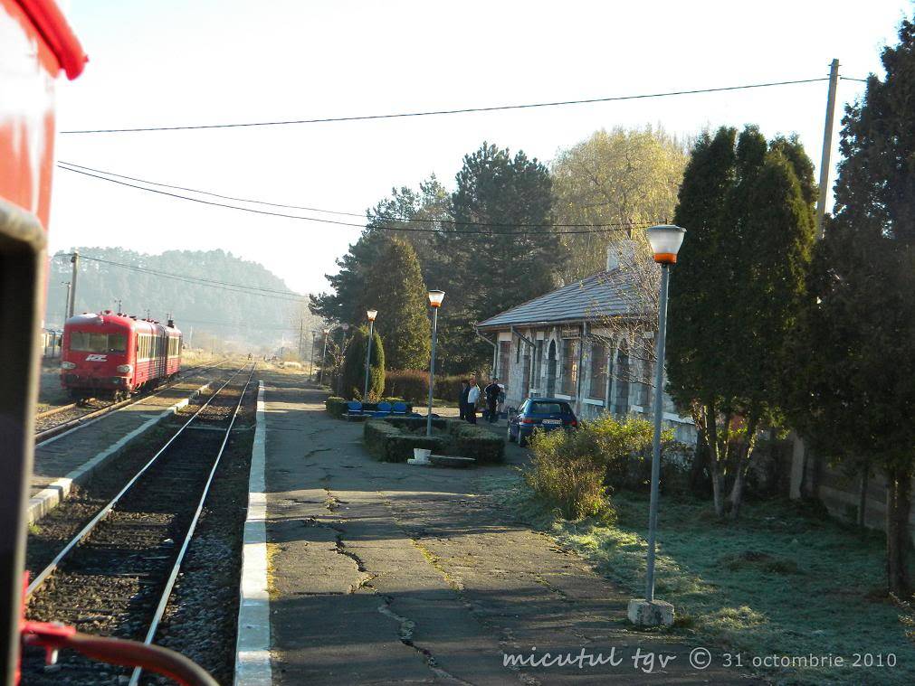 403 : Brasov - Intorsura Buzaului - Pagina 2 DSCN4363copy