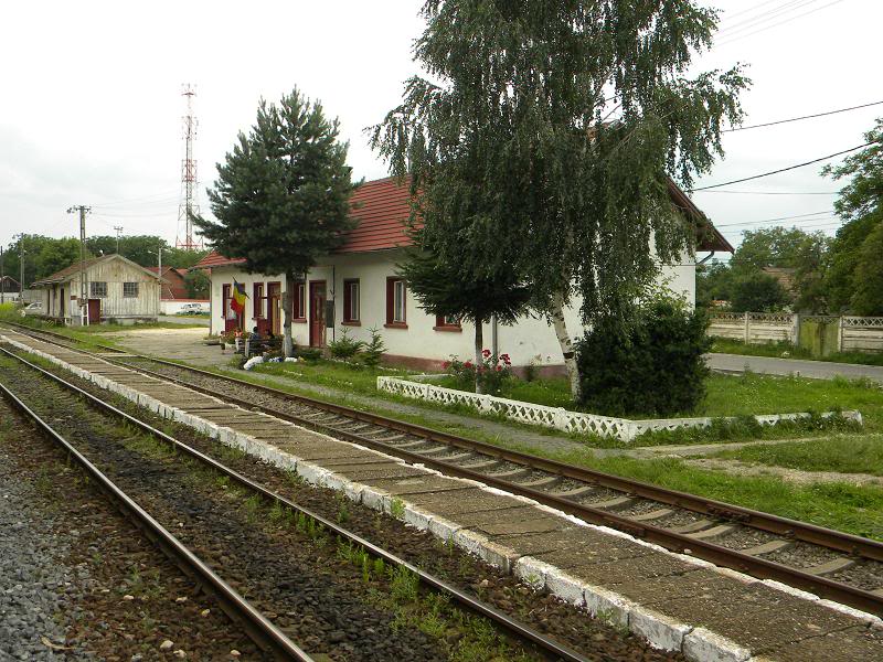 203 : Brasov - Rasnov - Zarnesti - Pagina 2 DSCN2589