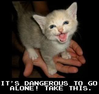 It's Dangerous to Go Alone, Take this _____ - Page 5 Its_dangerous_to_go_alone_Take_this