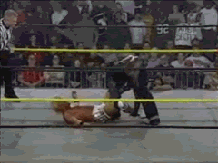 Bret Hart vs Killing Normal Match 4leglock
