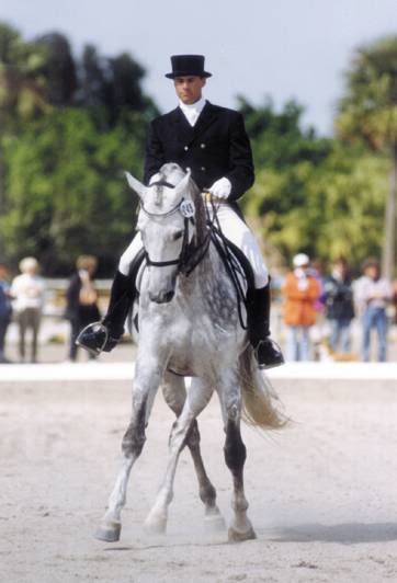 Dresura-slike - Page 2 Dressage_guide