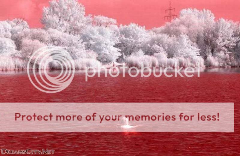 افتراضي صور للطبيعة بالاشعة الحمراء - التصوير بالاشعة الحمراء  10