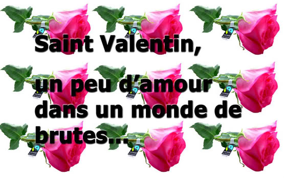 Bientot la saint valentin.................. Saintvalentin_modifi-1-1