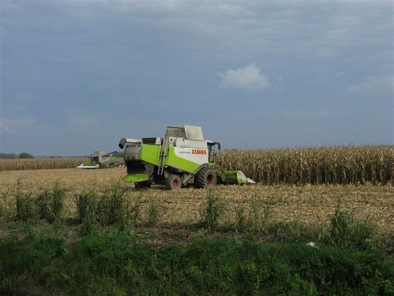 Claas - Page 2 IMG_2818Medium