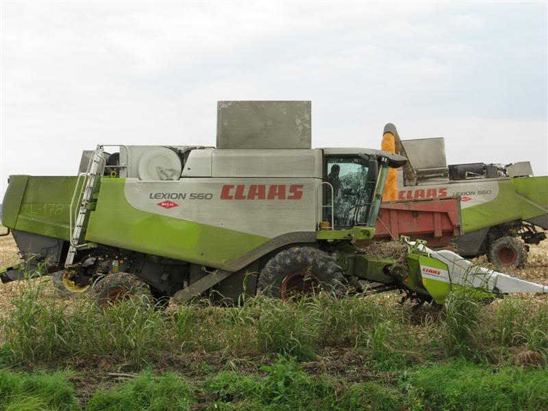 Claas - Page 2 IMG_2842Medium