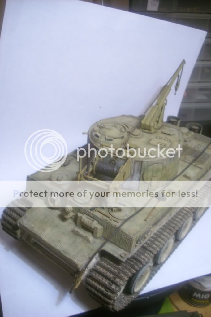 BergeTiger Italeri DSCI1431