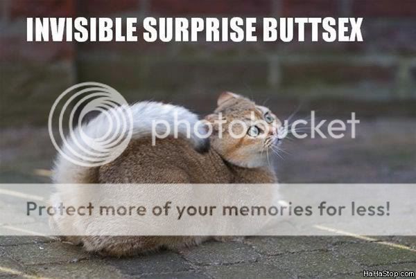 Surprise!!!!!!!!!!!!!!!!11 Invisiblesurprisebuttsex