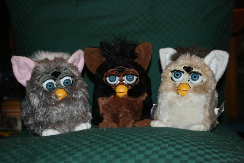 I miei Furby Furby