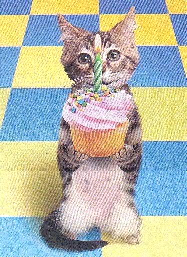 HAPPY BIRTHDAY PAUL Happy_birthday_cupcake1