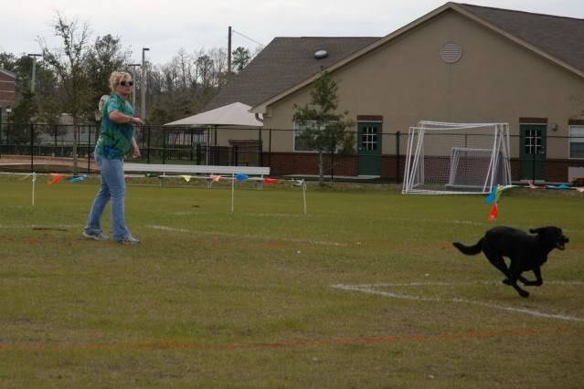 Second Frisbee event and the Quad 019-1