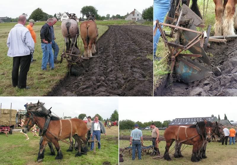 2007 Kaatsheuvel Gebr. Decap 92t pijporgel 'De Congo' (herstelbestand) NaamloosP15