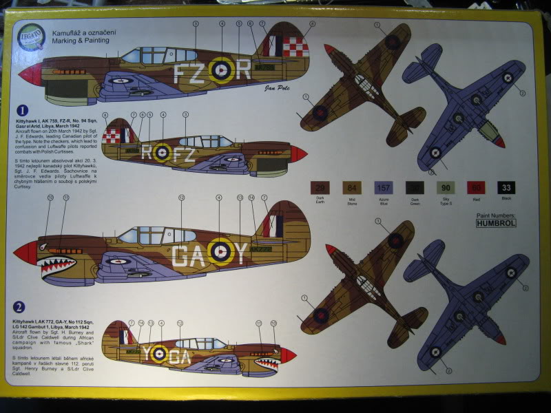 [Legato] Curtiss P-40E Kittyhawk IMG_1868