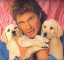 friends who care David-hasselhoff-6367