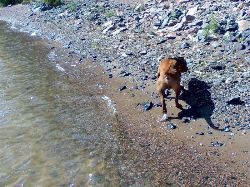 first time in the water Image083