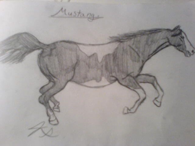 My incredibley awesome art work! Runningmustang