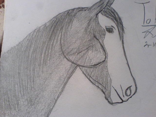 My incredibley awesome art work! Tobiano