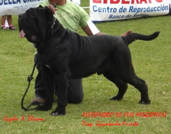 FOTOS DEL MATCH DSC06884