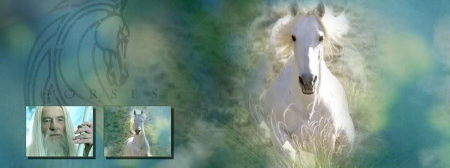 Gandalf ! Lotr_horses_shadowfax_01