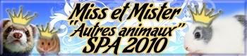 Concours MISS et MISTER - AUTRES ANIMAUX SPA 2010 BannireMissetmisterrongeursSPA2010