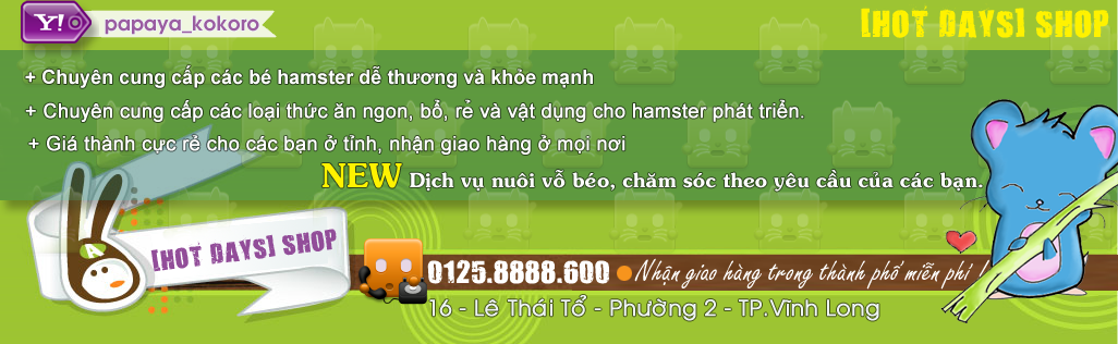 VĨNH LONG - [ HOT DAYS ] HAMSTER SHOP - hamster xinh vật dụng giá siêu rẻ , giao hàng toàn quốc Banner-1