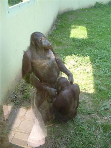 8 reasons you should not take the kids to the zoo... Cid_007201c955b655a7f8100864a8c0len